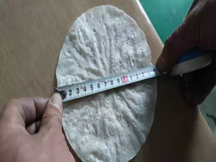 15cm tortilla