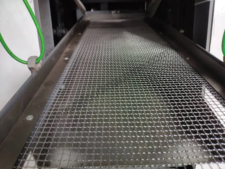 Discharge outlet screen for removing excess flour