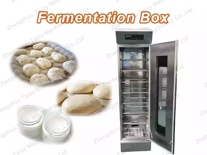 Fermentation Box