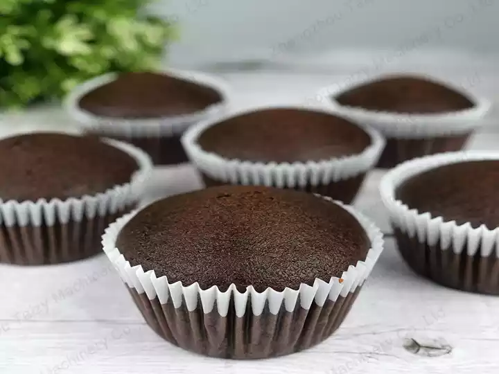 chocolate cupcakes