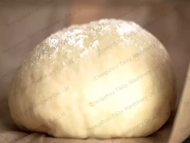 dough fermentation