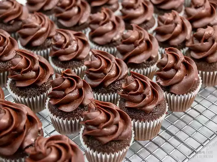 mini chocolate-cupcakes